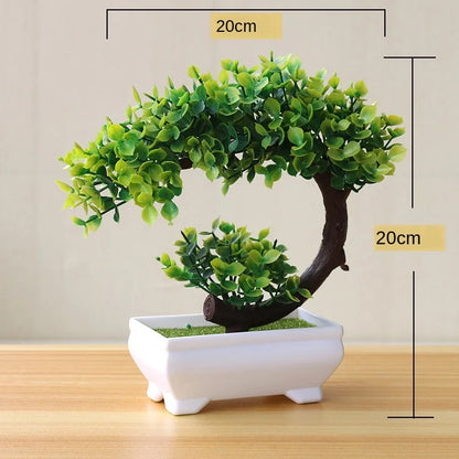 Small Potted Bonsai Tree Containers