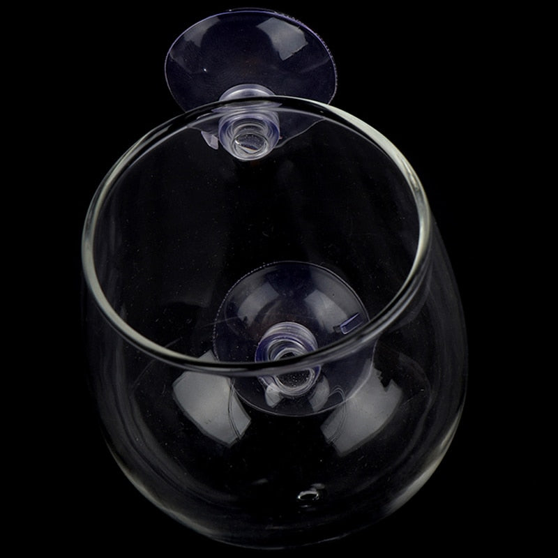 Beautiful Aquarium Fish Glass Decor Tank