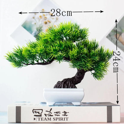 Small Potted Bonsai Tree Containers
