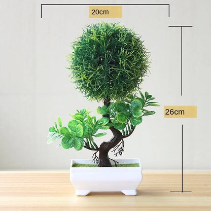 Small Potted Bonsai Tree Containers