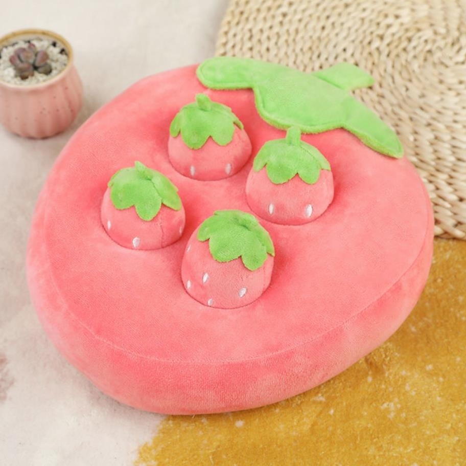 Colorful Interactive Scent Dog Toy