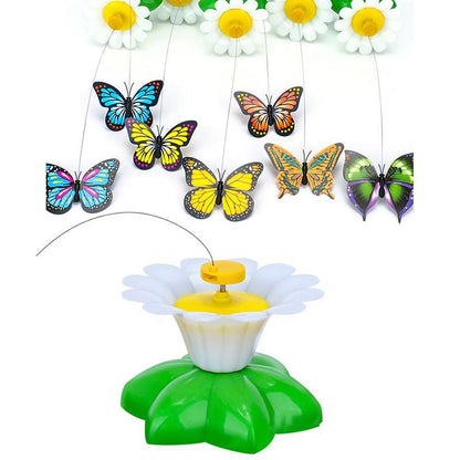 Playful Bright Kitty Play Toy