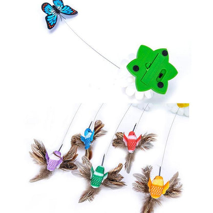 Playful Bright Kitty Play Toy