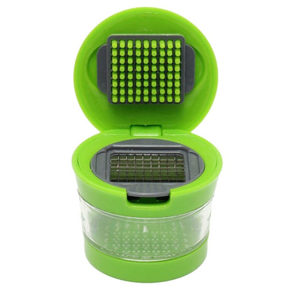 Small Easy Garlic Press