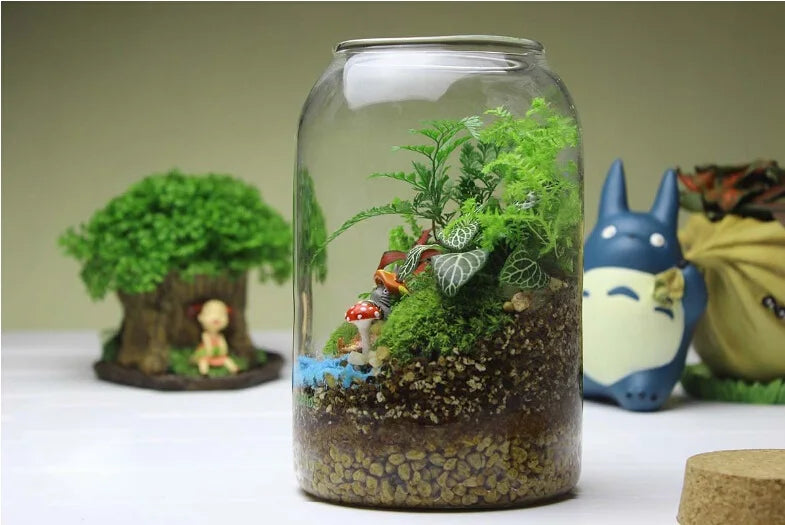 Beautiful Round Glass Succulent Planter Home Decor Gift - Luxicro