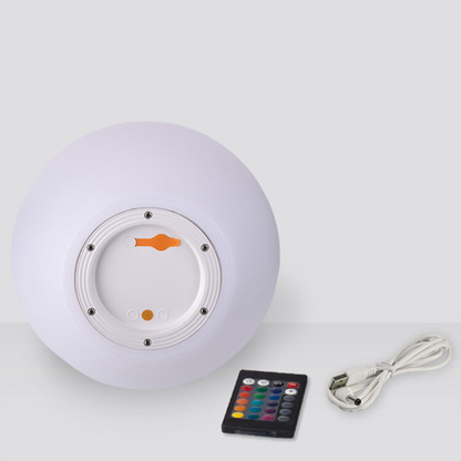 Bright Portable LED Desk Lamp