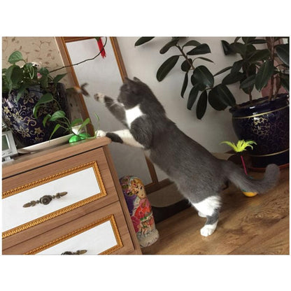 Playful Bright Kitty Play Toy