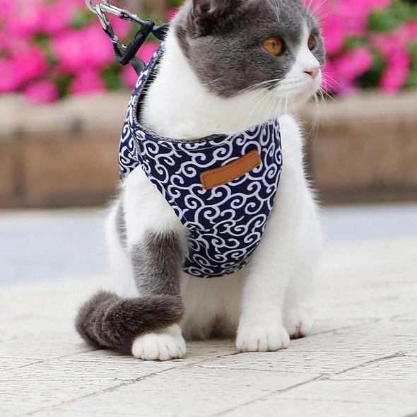 Comfortable Cat Harness and Leash Set for Walking