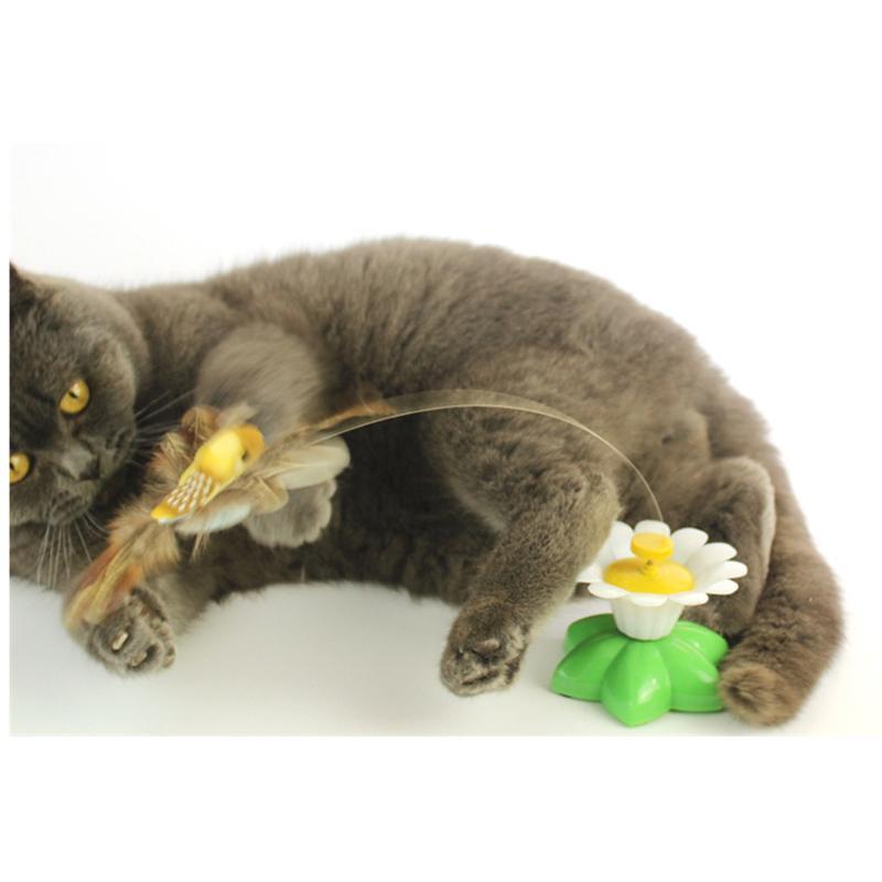 Playful Bright Kitty Play Toy