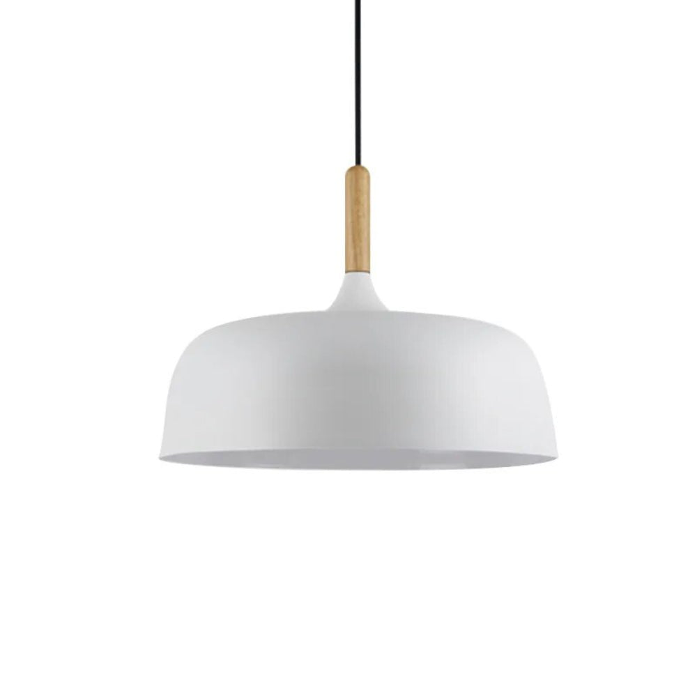 Sleek Black Glass Pendant Lighting Fixture