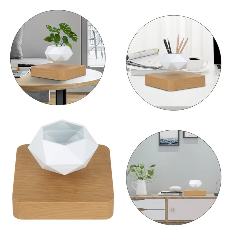 Unique Levitating Planter for Modern Home Decoration