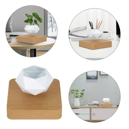 Unique Levitating Planter for Modern Home Decoration