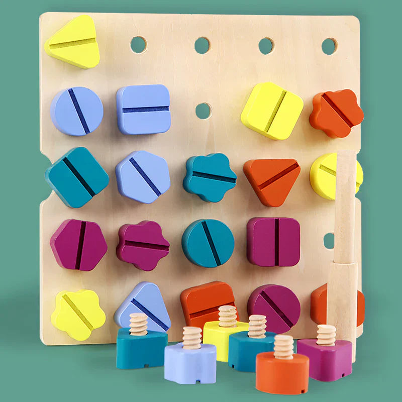 Colorful Wooden Shape Sorting Game