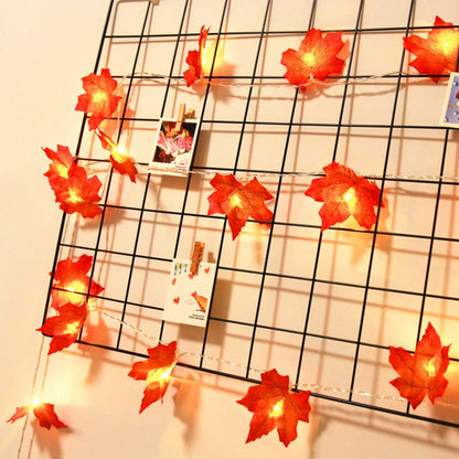 Vibrant Autumn Fairy Light Set
