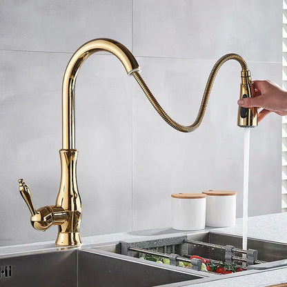 Luxury Stainless Steel Kitchen Faucet