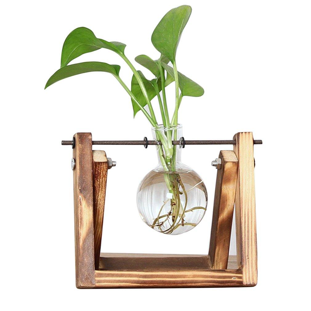 Easy Grow Plant Starter Pots - Luxicro