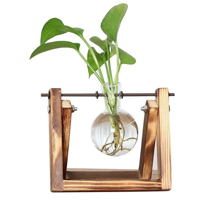 Easy Grow Plant Starter Pots - Luxicro