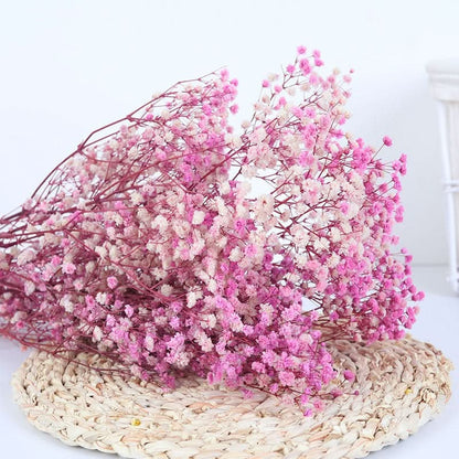 Natural Dried Flower Baby Breath Bouquet