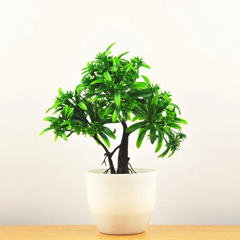 Small Potted Bonsai Tree Containers