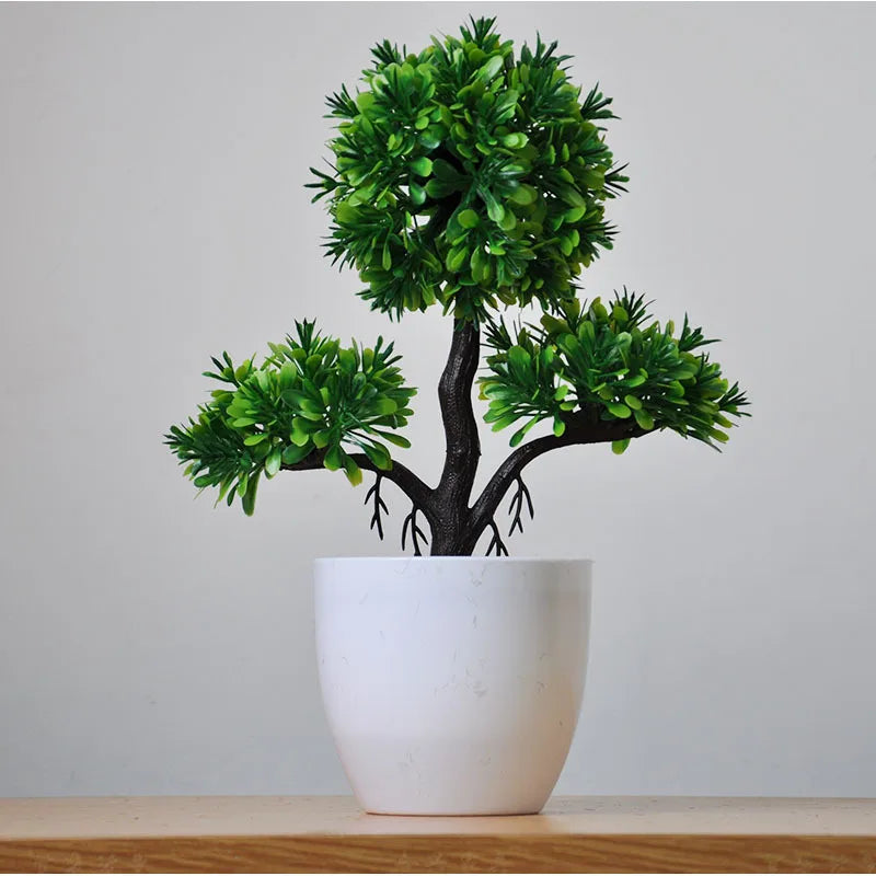 Small Potted Bonsai Tree Containers