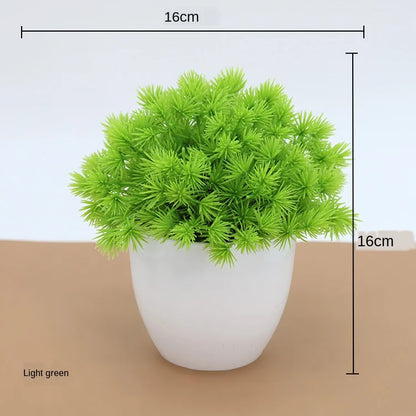 Small Potted Bonsai Tree Containers