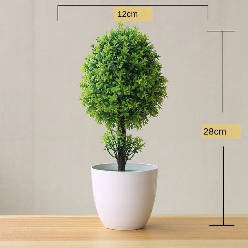 Small Potted Bonsai Tree Containers