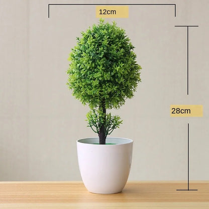 Small Potted Bonsai Tree Containers
