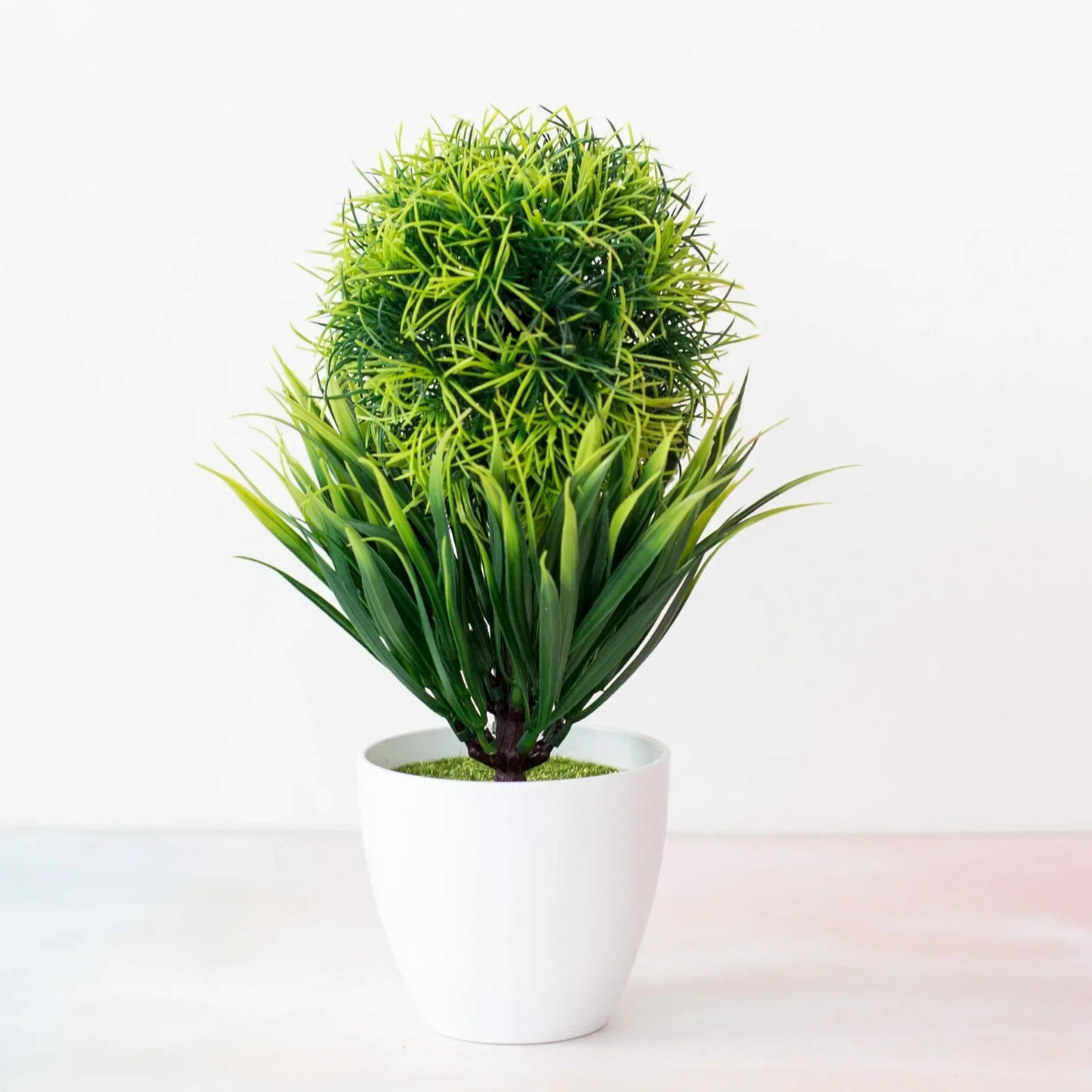 Small Potted Bonsai Tree Containers