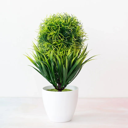 Small Potted Bonsai Tree Containers