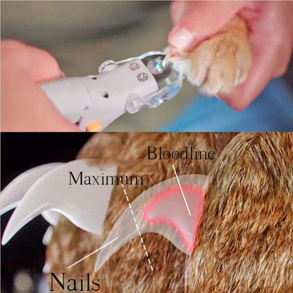 Easy Pet Nail Trimmer Kit, Safe Clipper for Dogs