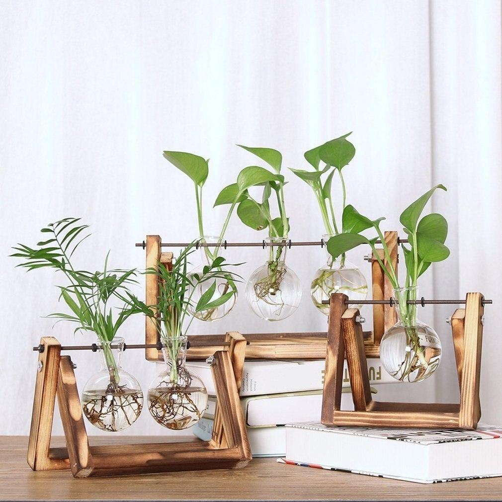 Easy Grow Plant Starter Pots