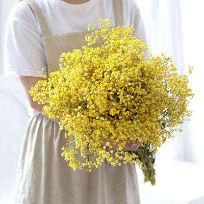 Natural Dried Flower Baby Breath Bouquet