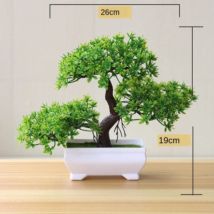 Small Potted Bonsai Tree Containers