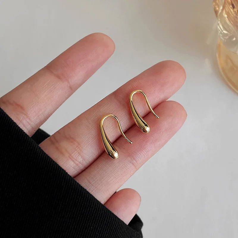 Dainty Silver Drop Pendant Earrings - Luxicro