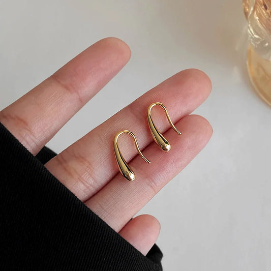 Dainty Silver Drop Pendant Earrings - Luxicro
