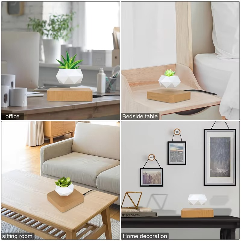 Unique Levitating Planter for Modern Home Decoration