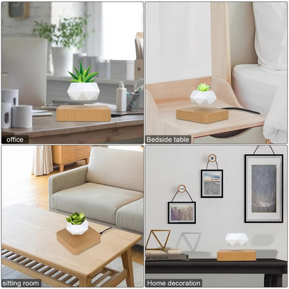 Unique Levitating Planter for Modern Home Decoration