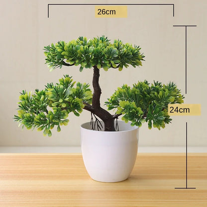 Small Potted Bonsai Tree Containers