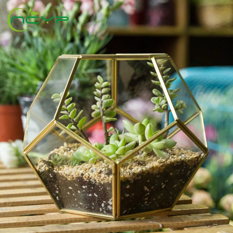 Luxury Mini Glass Succulent Planter Box - Luxicro