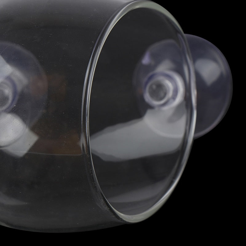 Beautiful Aquarium Fish Glass Decor Tank
