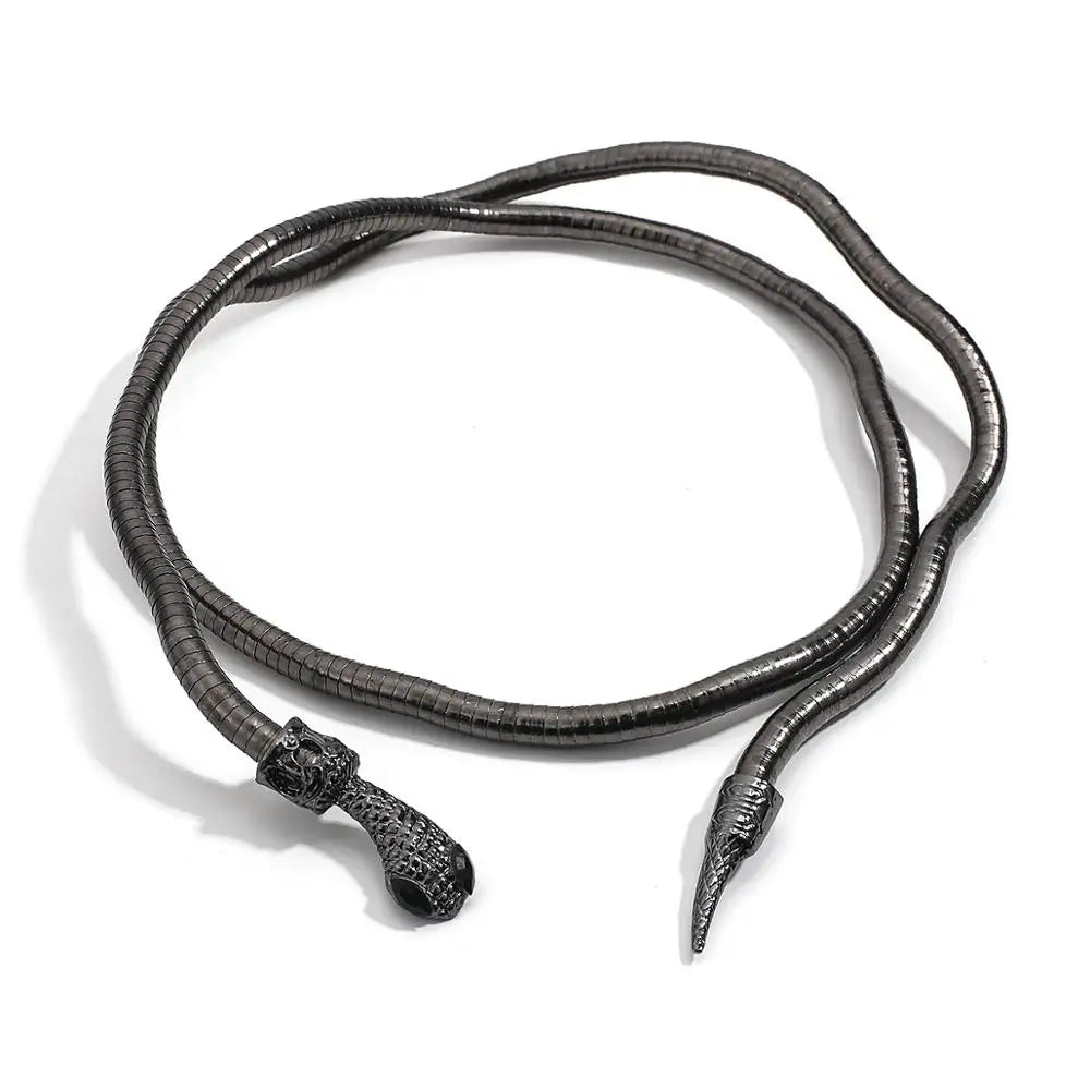 Trendy Snake Chain Double Layer Necklace