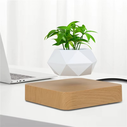 Unique Levitating Planter for Modern Home Decoration