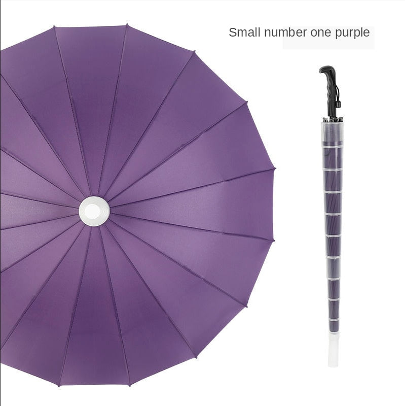 Portable Automatic Folding Umbrella