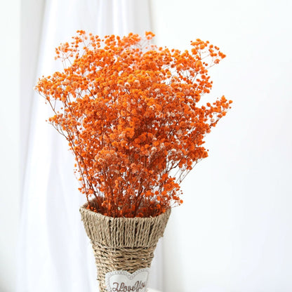 Natural Dried Flower Baby Breath Bouquet