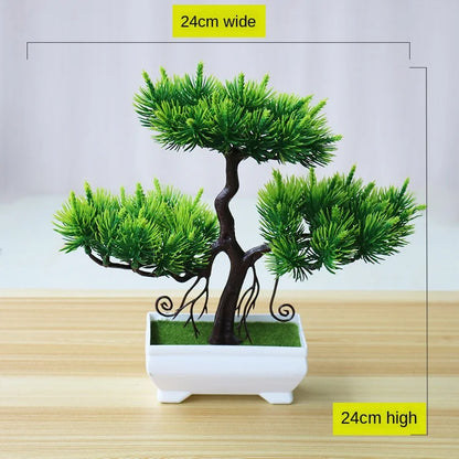 Small Potted Bonsai Tree Containers