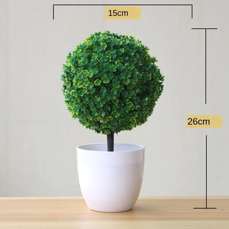 Small Potted Bonsai Tree Containers