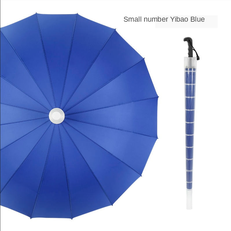 Portable Automatic Folding Umbrella