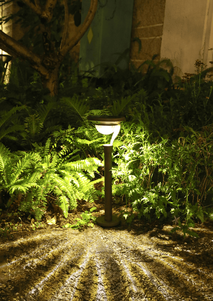 Bright Bedside Desk Lamp