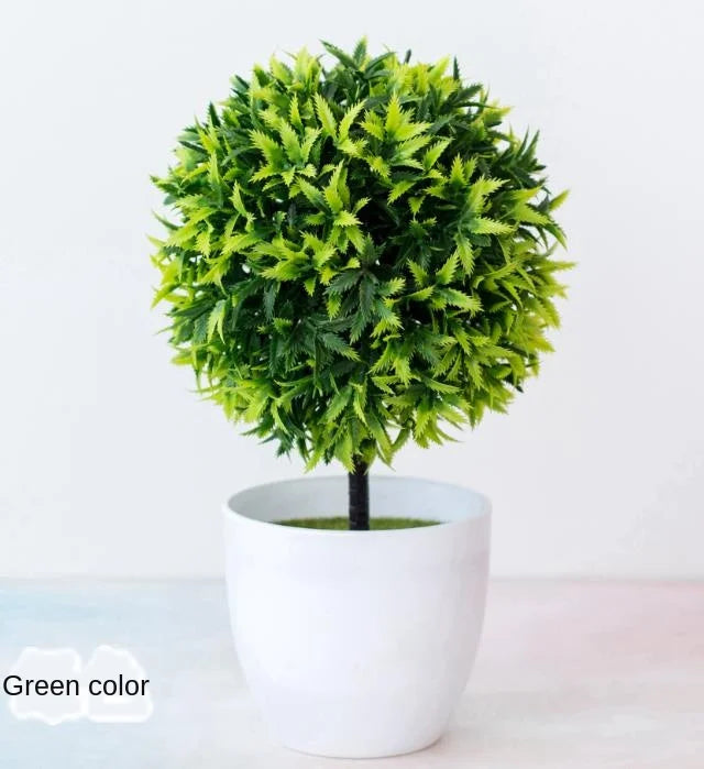 Small Potted Bonsai Tree Containers