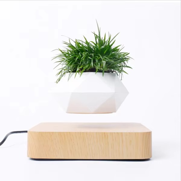 Unique Levitating Planter for Modern Home Decoration
